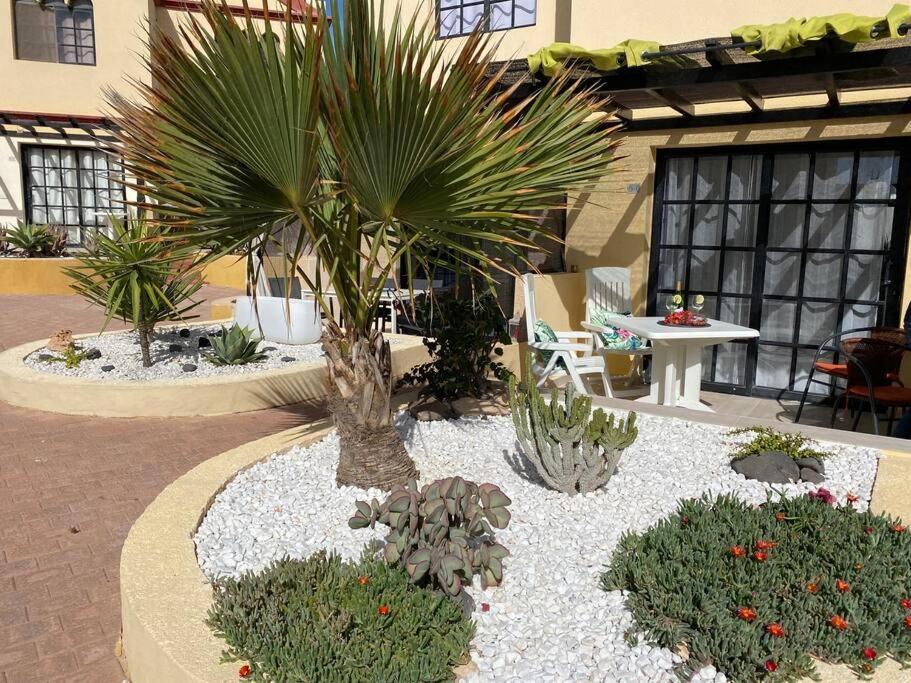 Fuerte Holiday M&M Apartaments كوستا كالما المظهر الخارجي الصورة